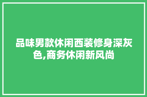 品味男款休闲西装修身深灰色,商务休闲新风尚