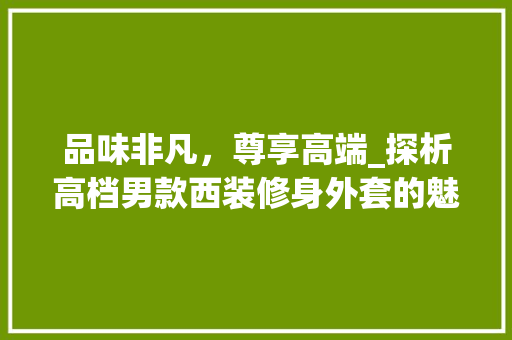 品味非凡，尊享高端_探析高档男款西装修身外套的魅力
