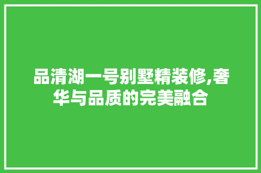 品清湖一号别墅精装修,奢华与品质的完美融合