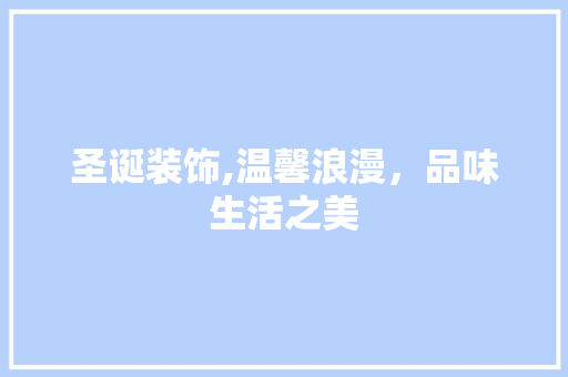 圣诞装饰,温馨浪漫，品味生活之美