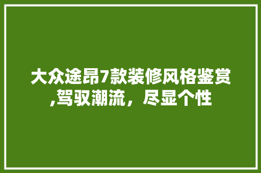 大众途昂7款装修风格鉴赏,驾驭潮流，尽显个性