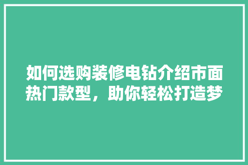 如何选购装修电钻介绍市面热门款型，助你轻松打造梦想家居 如何选购装修电钻介绍市面热门款型，助你轻松打造梦想家居 装修知识
