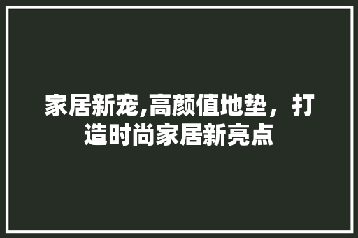 家居新宠,高颜值地垫，打造时尚家居新亮点