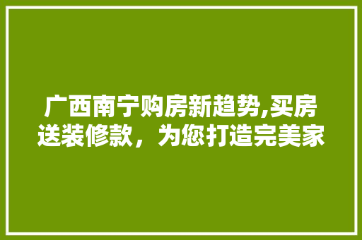 广西南宁购房新趋势,买房送装修款，为您打造完美家园