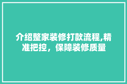 介绍整家装修打款流程,精准把控，保障装修质量