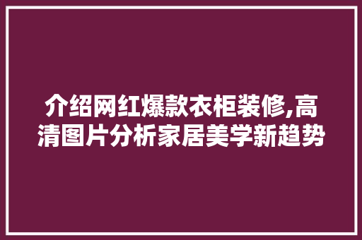 介绍网红爆款衣柜装修,高清图片分析家居美学新趋势
