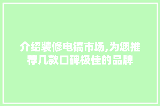 介绍装修电镐市场,为您推荐几款口碑极佳的品牌