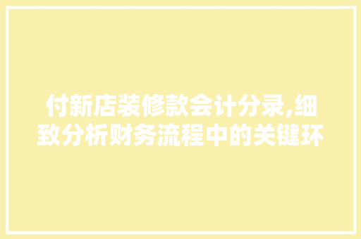 付新店装修款会计分录,细致分析财务流程中的关键环节