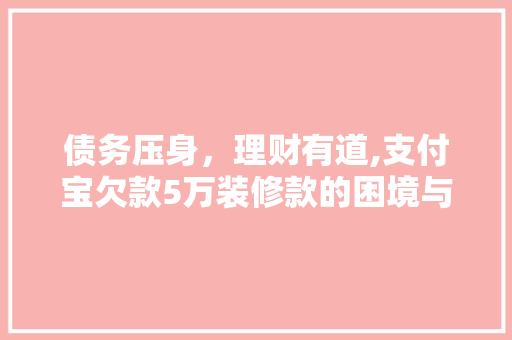 债务压身，理财有道,支付宝欠款5万装修款的困境与应对 债务压身，理财有道,支付宝欠款5万装修款的困境与应对 二手房
