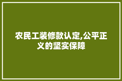 农民工装修款认定,公平正义的坚实保障