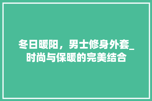 冬日暖阳，男士修身外套_时尚与保暖的完美结合