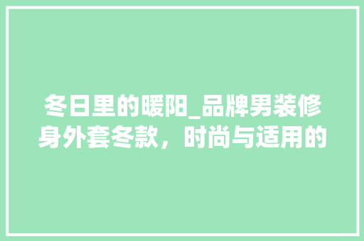 冬日里的暖阳_品牌男装修身外套冬款，时尚与适用的完美融合