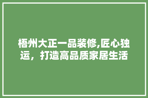 梧州大正一品装修,匠心独运，打造高品质家居生活 梧州大正一品装修,匠心独运，打造高品质家居生活 二手房