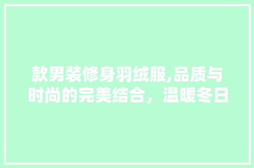 款男装修身羽绒服,品质与时尚的完美结合，温暖冬日里的精致选择 款男装修身羽绒服,品质与时尚的完美结合，温暖冬日里的精致选择 装修知识