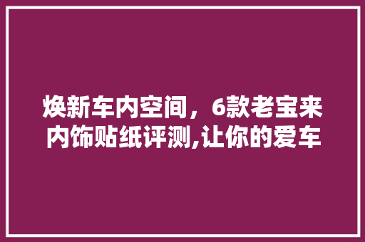 焕新车内空间，6款老宝来内饰贴纸评测,让你的爱车焕发青春活力 焕新车内空间，6款老宝来内饰贴纸评测,让你的爱车焕发青春活力 家居装饰