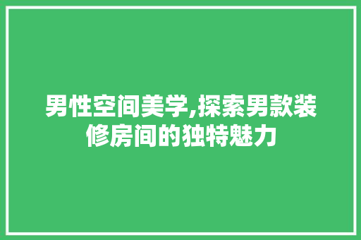 男性空间美学,探索男款装修房间的独特魅力 男性空间美学,探索男款装修房间的独特魅力 家居装饰