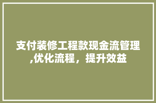 支付装修工程款现金流管理,优化流程，提升效益