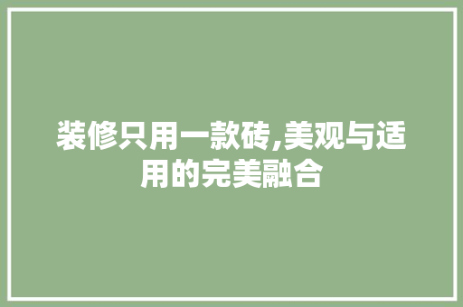 装修只用一款砖,美观与适用的完美融合 装修只用一款砖,美观与适用的完美融合 买房须知