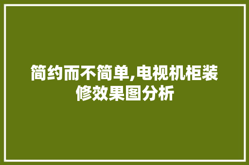 简约而不简单,电视机柜装修效果图分析 简约而不简单,电视机柜装修效果图分析 家居装饰
