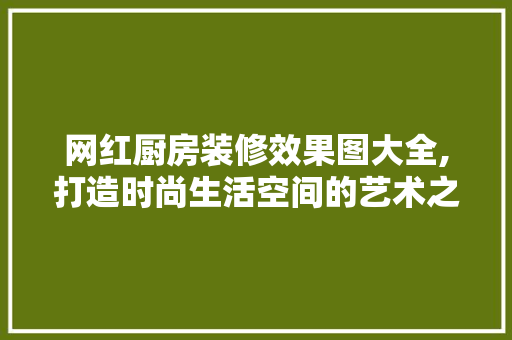 网红厨房装修效果图大全,打造时尚生活空间的艺术之旅 网红厨房装修效果图大全,打造时尚生活空间的艺术之旅 二手房