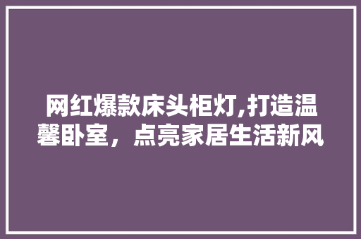 网红爆款床头柜灯,打造温馨卧室，点亮家居生活新风尚 网红爆款床头柜灯,打造温馨卧室，点亮家居生活新风尚 家居装饰