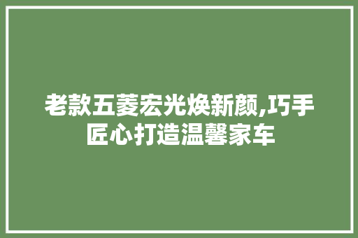 老款五菱宏光焕新颜,巧手匠心打造温馨家车 老款五菱宏光焕新颜,巧手匠心打造温馨家车 二手房