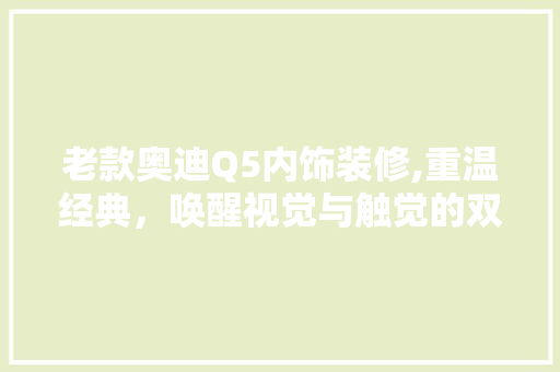 老款奥迪Q5内饰装修,重温经典，唤醒视觉与触觉的双重享受 老款奥迪Q5内饰装修,重温经典，唤醒视觉与触觉的双重享受 家居设计
