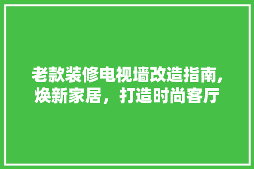 老款装修电视墙改造指南,焕新家居，打造时尚客厅 老款装修电视墙改造指南,焕新家居，打造时尚客厅 家居装饰