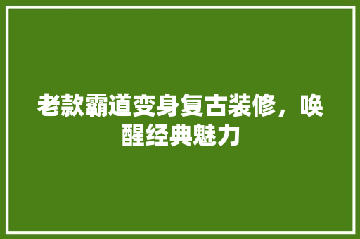 老款霸道变身复古装修，唤醒经典魅力 老款霸道变身复古装修，唤醒经典魅力 买房须知