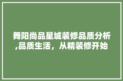 舞阳尚品星城装修品质分析,品质生活，从精装修开始 舞阳尚品星城装修品质分析,品质生活，从精装修开始 买房须知
