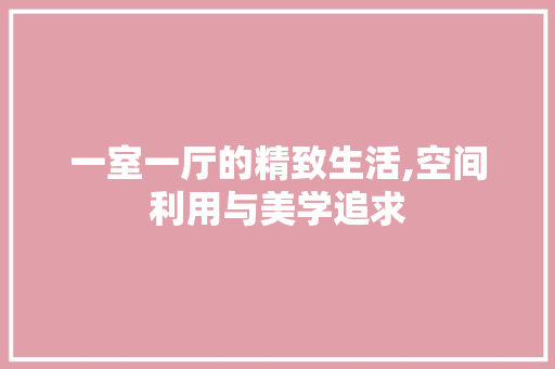 一室一厅的精致生活,空间利用与美学追求 一室一厅的精致生活,空间利用与美学追求 装修知识