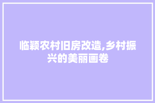 临颖农村旧房改造,乡村振兴的美丽画卷 家居设计