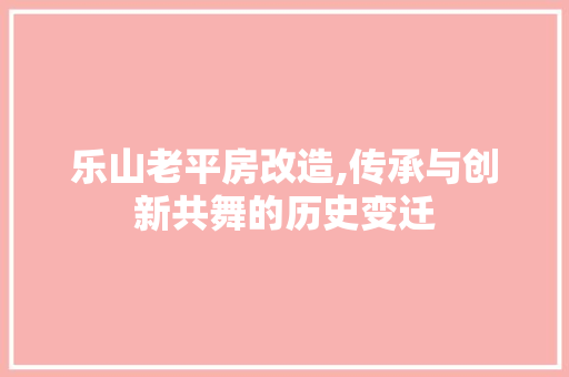 乐山老平房改造,传承与创新共舞的历史变迁 家居装饰