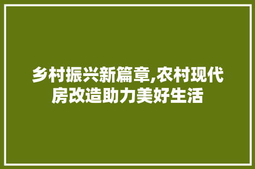 乡村振兴新篇章,农村现代房改造助力美好生活 二手房