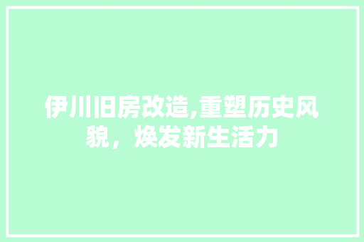 伊川旧房改造,重塑历史风貌，焕发新生活力