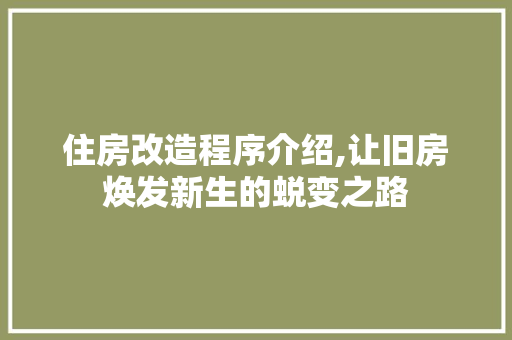 住房改造程序介绍,让旧房焕发新生的蜕变之路