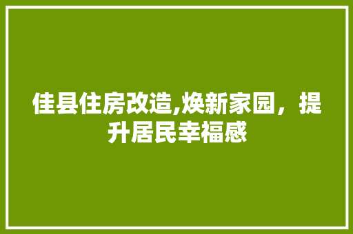 佳县住房改造,焕新家园，提升居民幸福感