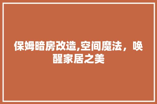 保姆暗房改造,空间魔法，唤醒家居之美 家居装饰