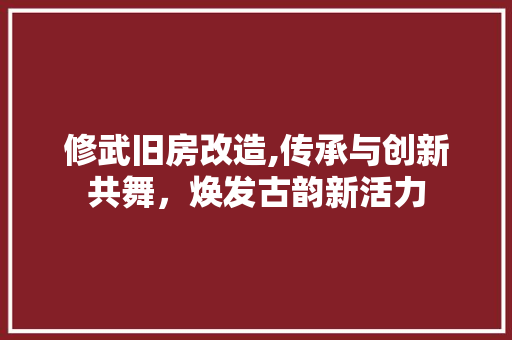 修武旧房改造,传承与创新共舞，焕发古韵新活力 装修知识