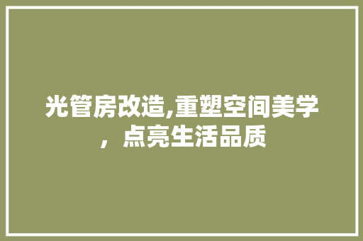 光管房改造,重塑空间美学，点亮生活品质 装修知识