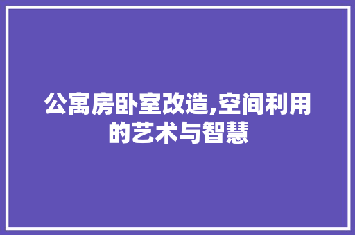 公寓房卧室改造,空间利用的艺术与智慧