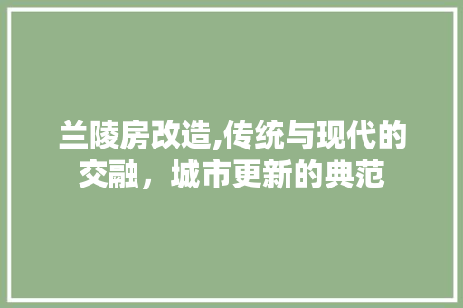 兰陵房改造,传统与现代的交融，城市更新的典范