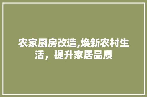 农家厨房改造,焕新农村生活，提升家居品质