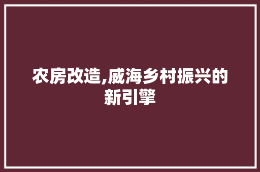 农房改造,威海乡村振兴的新引擎