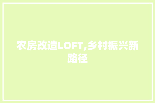 农房改造LOFT,乡村振兴新路径，农房改造方案。