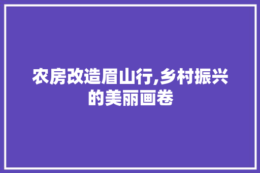 农房改造眉山行,乡村振兴的美丽画卷