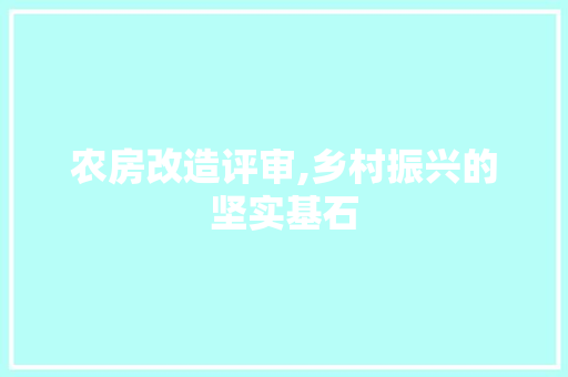 农房改造评审,乡村振兴的坚实基石，农房改造项目。