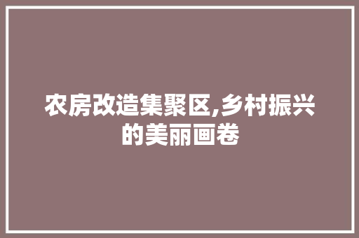 农房改造集聚区,乡村振兴的美丽画卷