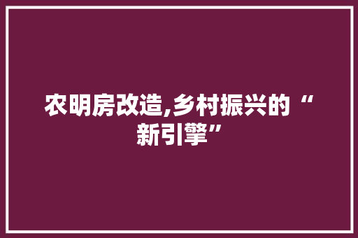 农明房改造,乡村振兴的“新引擎”