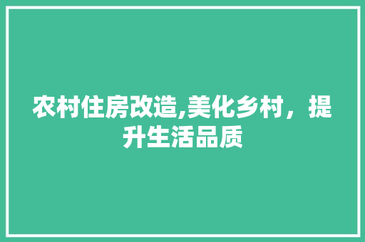 农村住房改造,美化乡村，提升生活品质